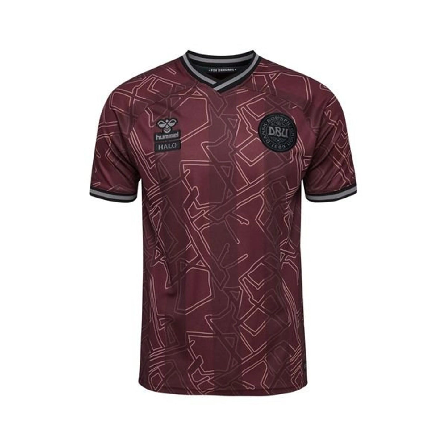 24/25 Denmark Special Edition Home