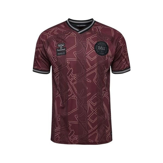 24/25 Denmark Special Edition Home