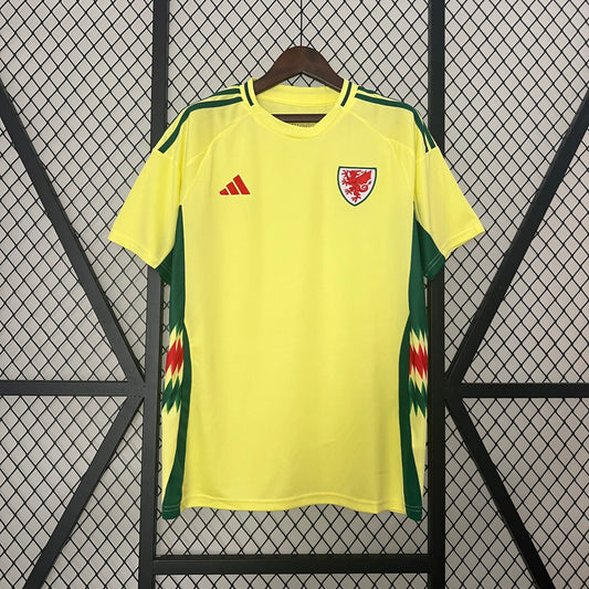 24/25 Wales Away
